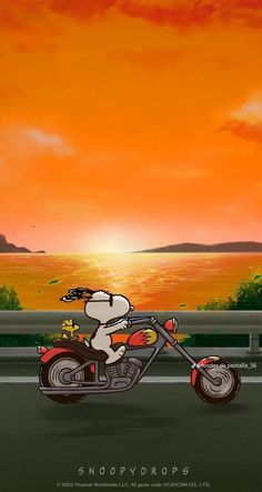 a dog riding on the back of a motorcycle in front of an orange sky and water