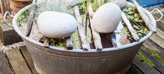 some rocks and plants in a pot on a wooden table outside with grass growing out of them