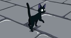 a black cat standing on top of a cobblestone road with its eyes wide open