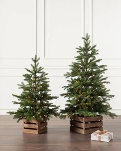 two small christmas trees in wooden boxes with lights on them