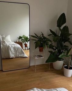 a large mirror sitting on top of a wooden floor next to a potted plant