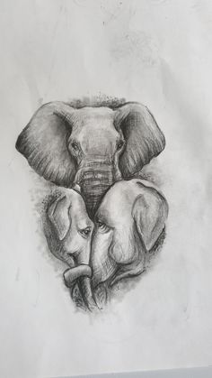 a drawing of two elephants with their trunks curled up in the shape of a heart