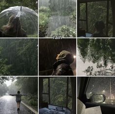 several pictures of people walking in the rain with umbrellas and books on their laps