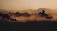 a group of people on horses and dogs running in the dirt with mountains in the background