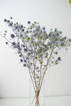 a glass vase filled with purple flowers on top of a white countertop next to a plant