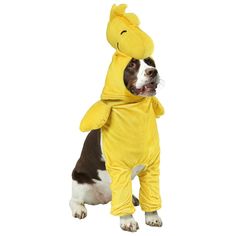 a dog dressed in a yellow dinosaur costume