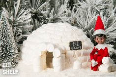 an elf is sitting in front of a snow igloo