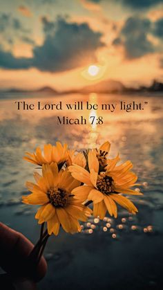 the lord will be my light with two yellow flowers in front of water and sky