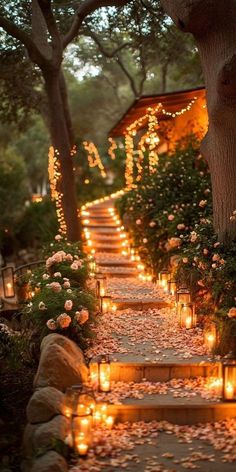 Creative Backyard, Garden Escape, Backyard Wedding Lighting, Forest Theme Wedding, Dream Wedding Decorations, Wedding Lighting, Backyard Lighting, Forest Theme, Focal Points