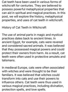 an article about witches and their uses in the book, witch cat by stephen m smith