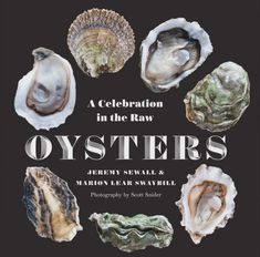 an image of oysters in the raw