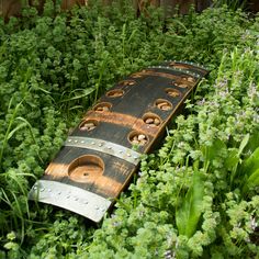 an old wooden board laying in the middle of some green plants and flowers with holes on it