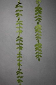 three green leaves hanging from the side of a gray wall in front of a grey background