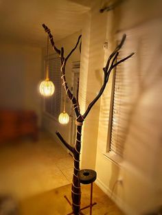 a tree with lights hanging from it's branches in front of a mirror and window