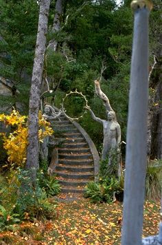 there is a staircase in the middle of trees