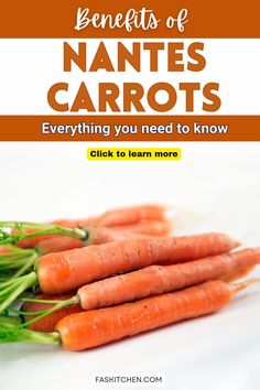 Close-up of bright orange Nantes carrots with smooth, cylindrical shapes and leafy green tops, lying on a rustic wooden surface, showcasing their vibrant color and smooth texture Soups Easy, Carrot Varieties, Daucus Carota