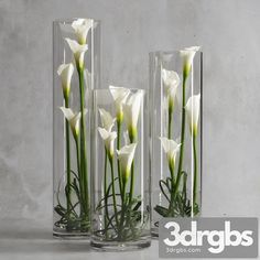 three clear vases with white flowers in them