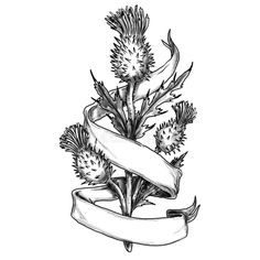 thistle flowers with ribbon and banner tattoo art print by person, scottish tattoos, scottish symbols, scotland tattoo, flower drawing, ink drawings, the body, florals, plant, botanical design projects, watercolorism, graphic design patterns,