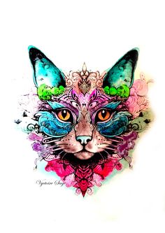 a drawing of a cat with colorful eyes