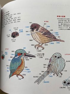 an open book with pictures of birds and their names in chinese characters on the pages