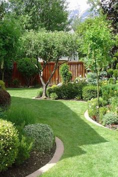 a garden with lots of green grass and trees