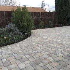 a brick patio with trees and bushes in the background