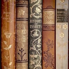 old books are lined up on a shelf