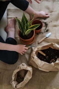 two people sitting on the ground with plants in their hands and paper bags around them