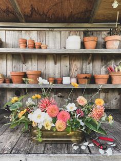 an arrangement of flowers on a shelf in a garden shed