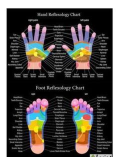 "HANDS AND FEET REFLEXOLOGY Study Guide DIGITAL DOWNLOAD PRINTABLE Printable sizes are  8\"x10\" 11\"x17\" 16x20 18\"x24\" 24x36 27x40" Reflexology Foot Chart, Hand Reflexology, Reflexology Chart, Reflexology Massage, Foot Reflexology, Spa Water, Young Living Oils, Doterra Oils, Large Pores