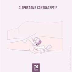 Lors d'un rapport sexuel avec pénétration, le diaphragme ne gêne pas votre partenaire lorsqu'il est bien positionné Tampon, Ecards, Saree, Memes, Pendant, E Cards