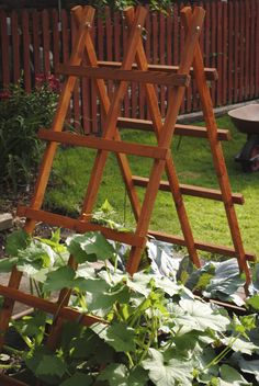 a wooden garden trellis sitting on top of a lush green field