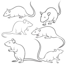 four different types of mice on a white background