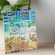 an assortment of postage stamps on a table next to a potted plant and white vase