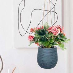 a potted plant with pink flowers hanging from it's side in front of a white wall