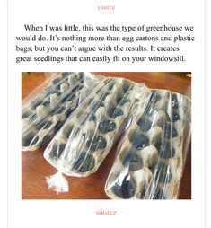 an image of eggs in plastic bags on a table with the words source written below