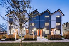 a row of houses at night with lights on the windows and trees in front of them