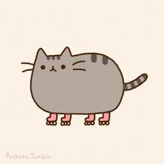 a gray cat with pink legs and feet standing in front of the caption that says,