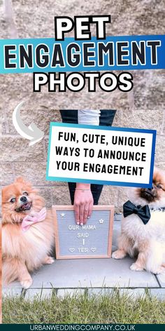 bride to be holding peg sign engagement announcement with dogs posing. text: pet engagement photos