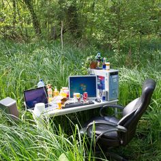 a laptop computer sitting on top of a desk in the middle of some tall grass