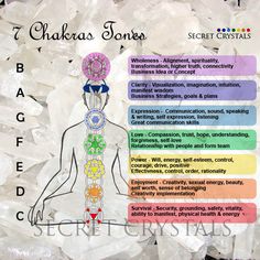 Chakra Singing Bowls, Singing Bowls Benefits, Sound Bowls Healing, Crystal Dictionary, Sound Bowls, Music Tones, Yoga Teacher Resources, Zen Circle, Healing Tones