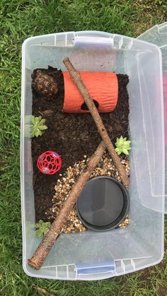 a plastic container filled with dirt and plants next to a red ball in the grass