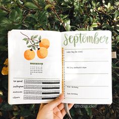 a hand holding an open planner with oranges on it and the words september written in green ink