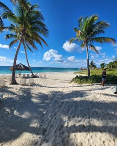 the beach is lined with palm trees and lawn chairs