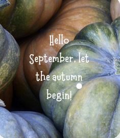 there is a pile of pumpkins with the words hello september let the autumn begin