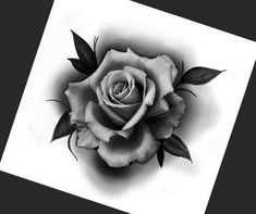 a black and white photo of a rose