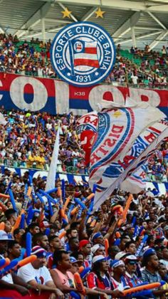 a large group of people holding flags and banners in front of a crowd at a soccer game