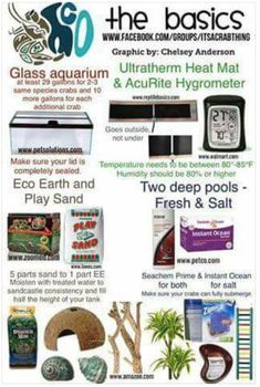 an advertisement for the basics of aquarium equipment