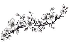 a branch with flowers on it is drawn in black and white, as well as the outline