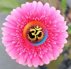 a pink flower with an om symbol on it